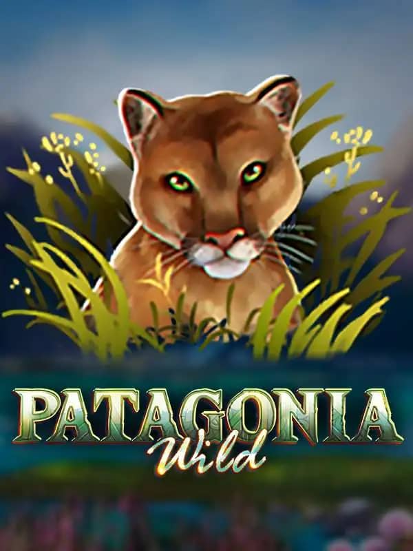 Patagonia Wilds