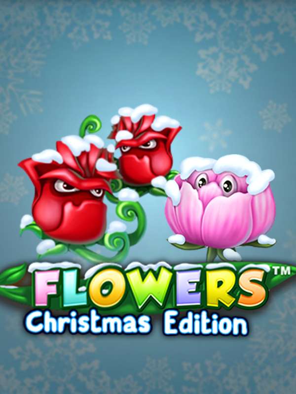 Flowers Christmas Edition