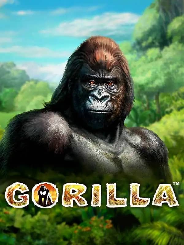 Gorilla