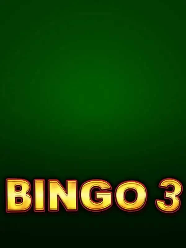 Bingo 3
