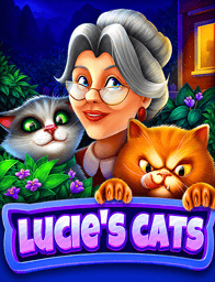 Lucies cats