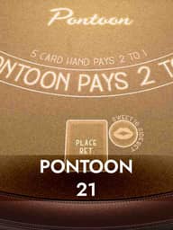 Pontoon 21