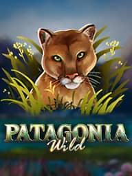 Patagonia Wilds