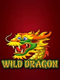Wild Dragon