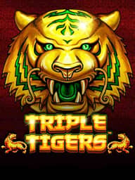 Triple Tigers