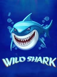 Wild Shark